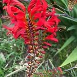 Panzió Aux Portes De Pornichet, D'hotes Ty'sacha