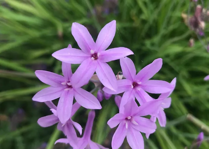 Aux Portes De Pornichet, D'hotes Ty'sacha *