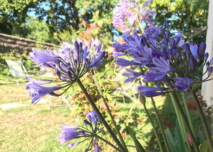 Bed & Breakfast Aux Portes De Pornichet, D'hotes Ty'sacha