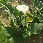 Bed & Breakfast Aux Portes De Pornichet, D'hotes Ty'sacha