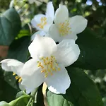 Aux Portes De Pornichet, D'hotes Ty'sacha Saint-Nazaire (Loire-Atlantique)