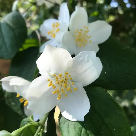 Aux Portes De Pornichet, D'hotes Ty'sacha Saint-Nazaire (Loire-Atlantique)