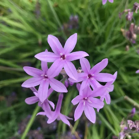 Aux Portes De Pornichet, D'hotes Ty'sacha *