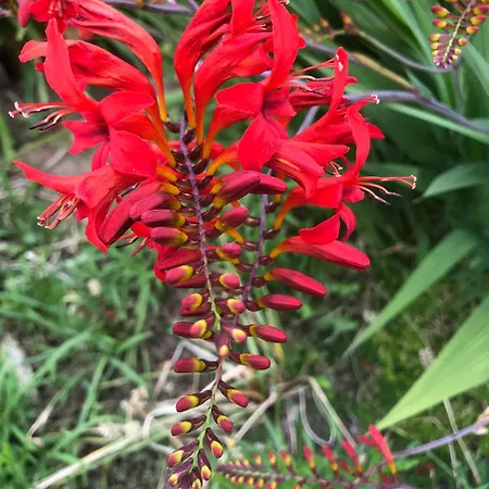 Bed and breakfast Aux Portes De Pornichet, D'hotes Ty'sacha