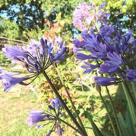 Nocleg ze śniadaniem Aux Portes De Pornichet, D'hotes Ty'sacha