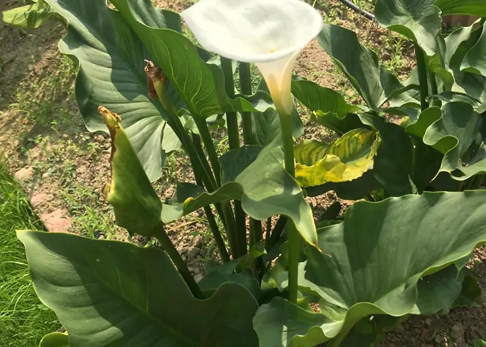 فندق مبيت وإفطار Aux Portes De Pornichet, D'hotes Ty'sacha