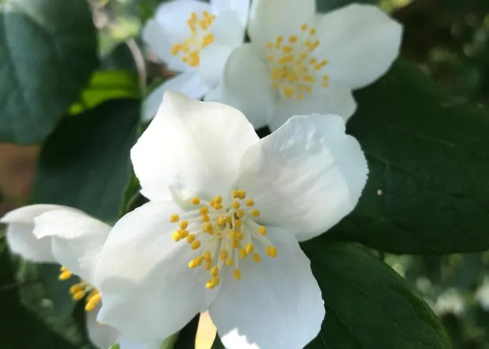 Aux Portes De Pornichet, D'hotes Ty'sacha سان نازير