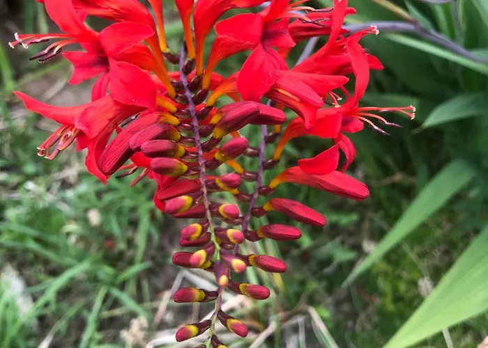 فندق مبيت وإفطار Aux Portes De Pornichet, D'hotes Ty'sacha